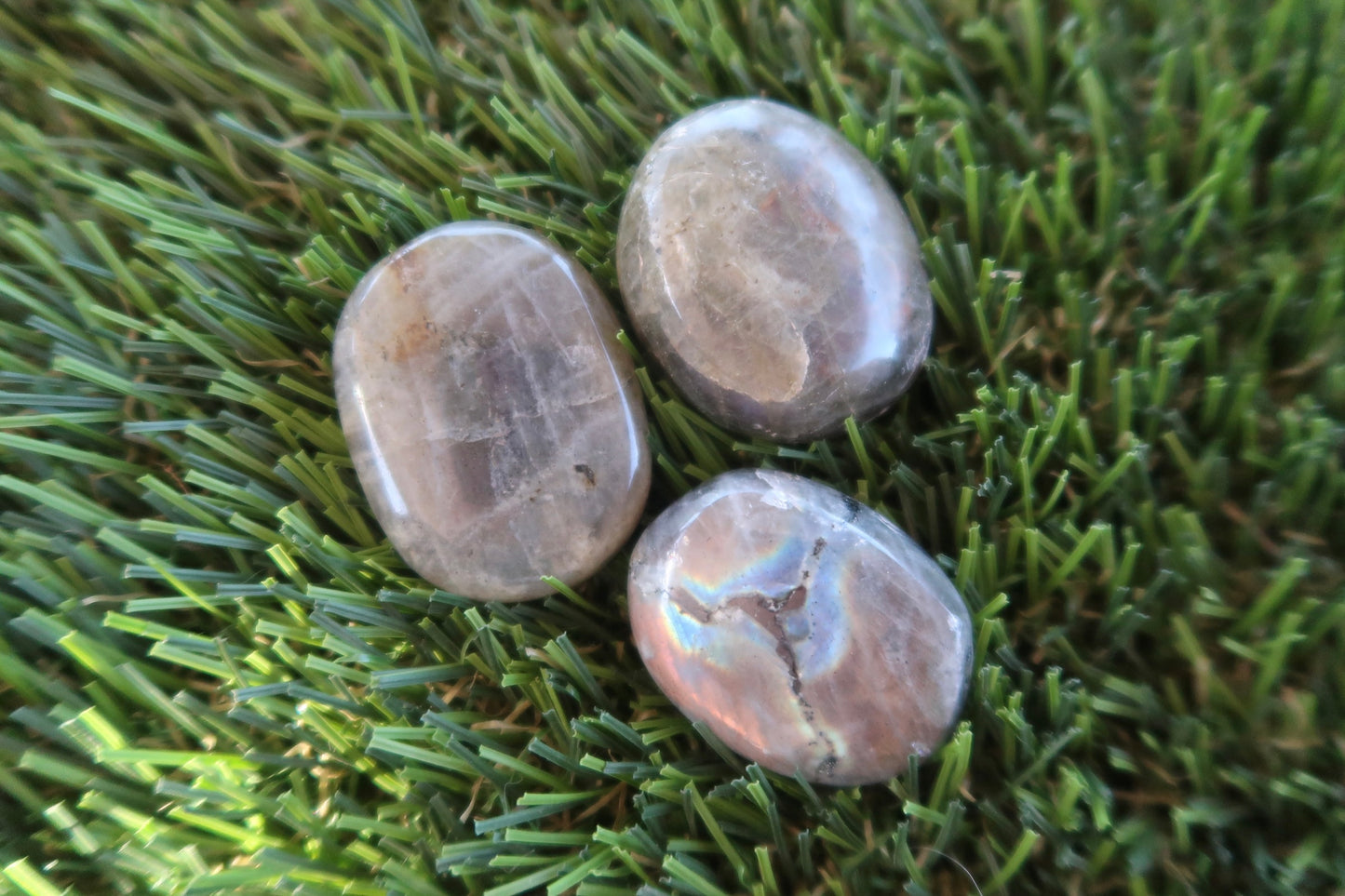 Labradorite Palmstone